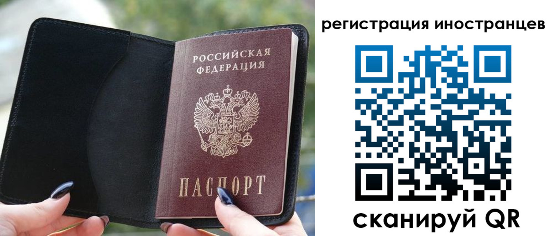 найти адрес прописки в Сельцо